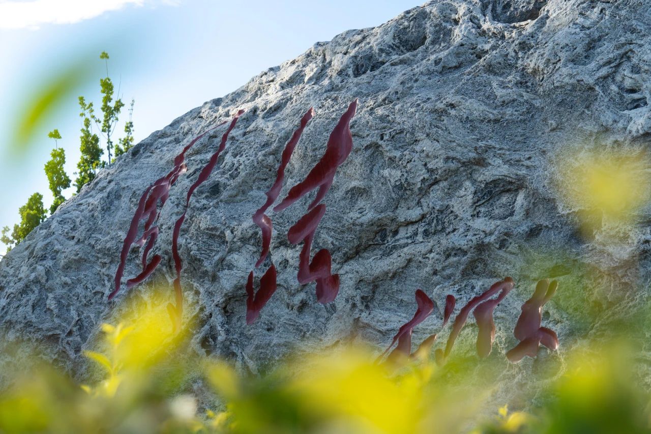 学校获批2025年度国家教材建设重点研究基地重大项目